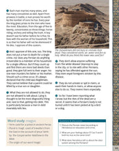 Load image into Gallery viewer, The Persians Textbook